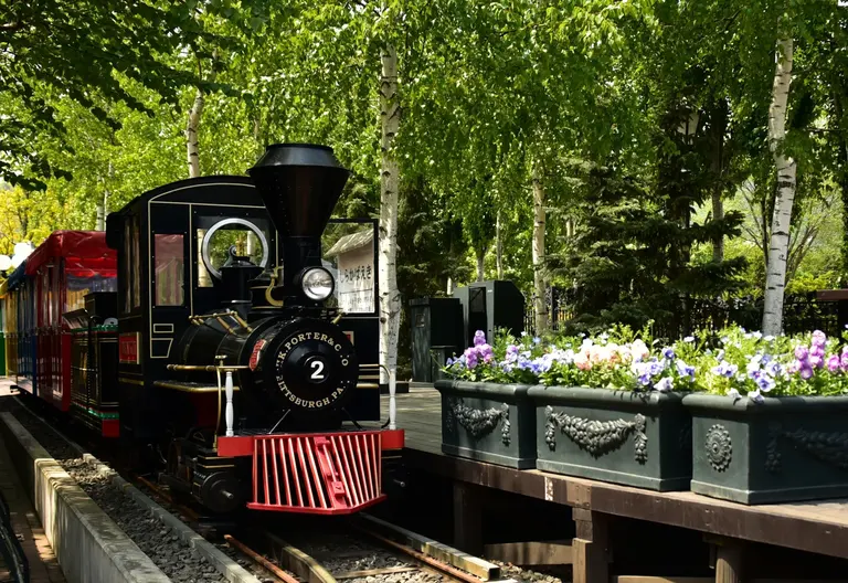 Pioneer Railway